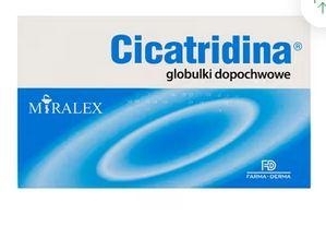 Zdjęcie Cicatridina glob.dopochw.10szt.