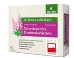 Zdjęcie Wierzbownica drobnokwiatowa x ...