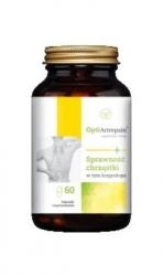 Zdjęcie Opti Artrepain 60 kapsułek