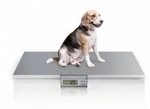 Zdjęcie Elektroniczna waga weterynaryjna CHARDER VS 2400 (...